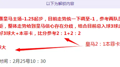 南通支云足球俱乐部引进亚历山大·帕洛切维奇租借球员